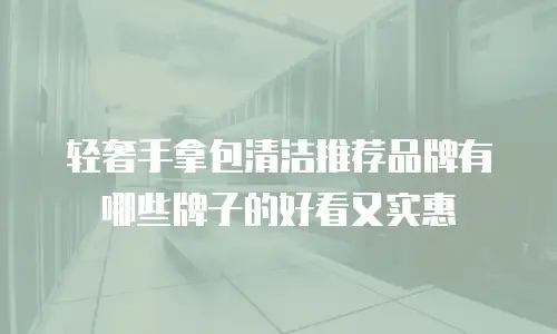 轻奢手拿包清洁推荐品牌有哪些牌子的好看又实惠