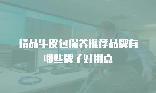 精品牛皮包保养推荐品牌有哪些牌子好用点