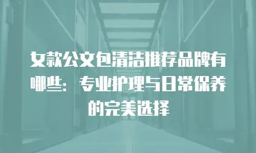 女款公文包清洁推荐品牌有哪些：专业护理与日常保养的完美选择