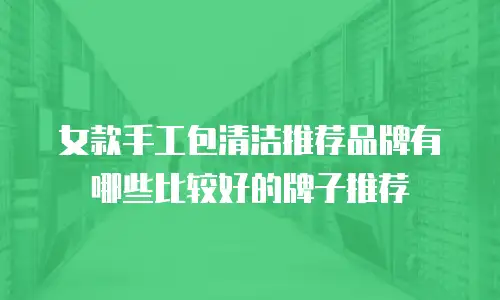 女款手工包清洁推荐品牌有哪些比较好的牌子推荐