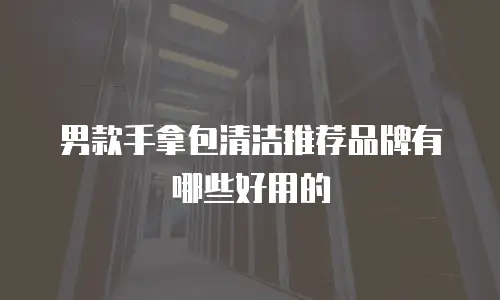 男款手拿包清洁推荐品牌有哪些好用的