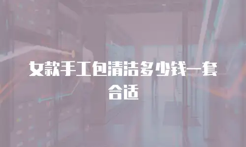 女款手工包清洁多少钱一套合适