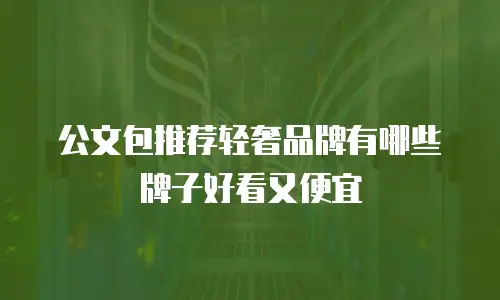 公文包推荐轻奢品牌有哪些牌子好看又便宜