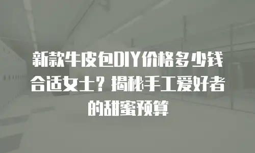 新款牛皮包DIY价格多少钱合适女士？揭秘手工爱好者的甜蜜预算