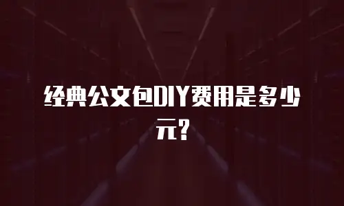 经典公文包DIY费用是多少元?