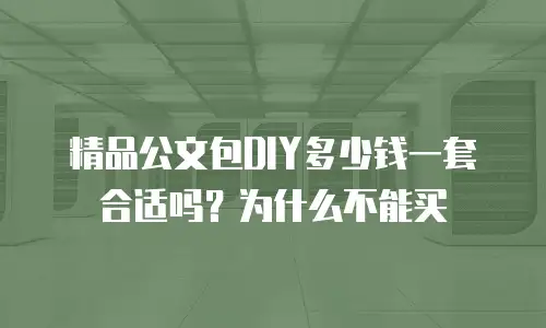 精品公文包DIY多少钱一套合适吗？为什么不能买