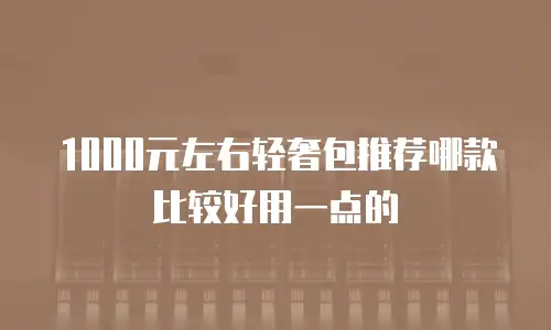 1000元左右轻奢包推荐哪款比较好用一点的