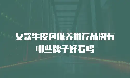 女款牛皮包保养推荐品牌有哪些牌子好看吗