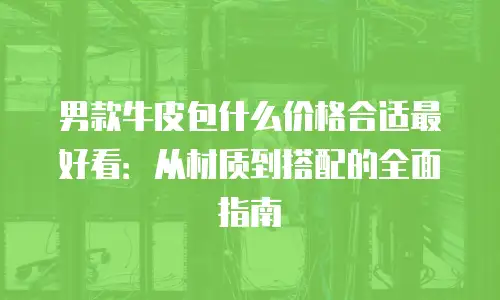 男款牛皮包什么价格合适最好看：从材质到搭配的全面指南