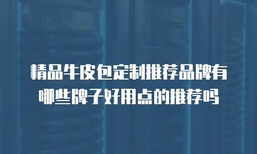 精品牛皮包定制推荐品牌有哪些牌子好用点的推荐吗