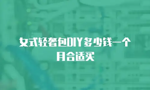 女式轻奢包DIY多少钱一个月合适买