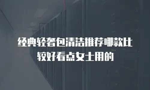 经典轻奢包清洁推荐哪款比较好看点女士用的