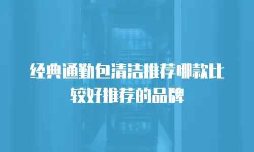 经典通勤包清洁推荐哪款比较好推荐的品牌