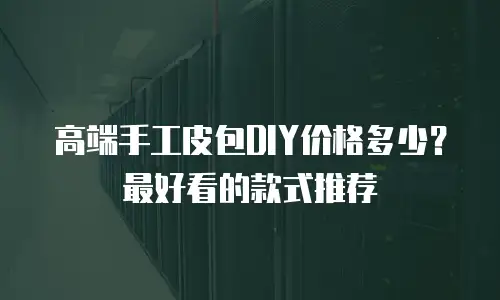 高端手工皮包DIY价格多少？最好看的款式推荐