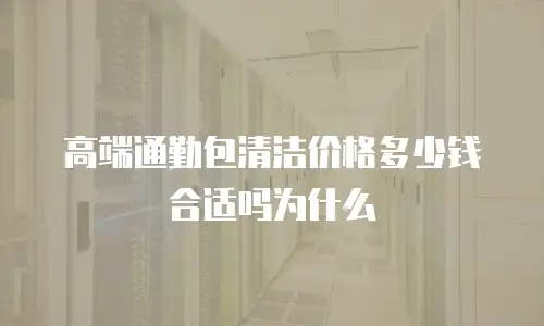 高端通勤包清洁价格多少钱合适吗为什么