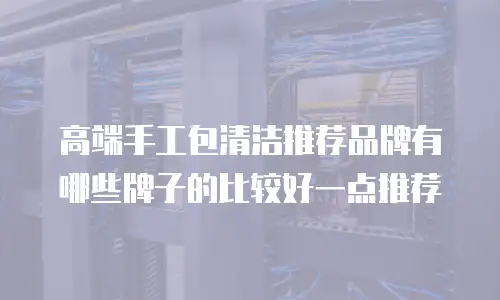 高端手工包清洁推荐品牌有哪些牌子的比较好一点推荐