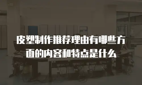 皮塑制作推荐理由有哪些方面的内容和特点是什么