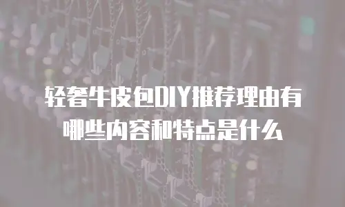 轻奢牛皮包DIY推荐理由有哪些内容和特点是什么
