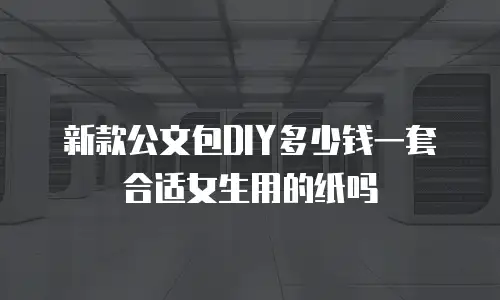 新款公文包DIY多少钱一套合适女生用的纸吗