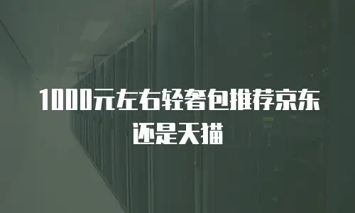 1000元左右轻奢包推荐京东还是天猫