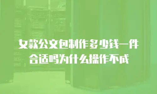 女款公文包制作多少钱一件合适吗为什么操作不成
