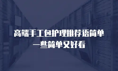 高端手工包护理推荐语简单一些简单又好看