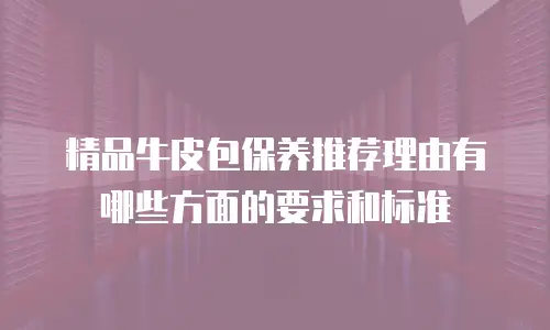 精品牛皮包保养推荐理由有哪些方面的要求和标准