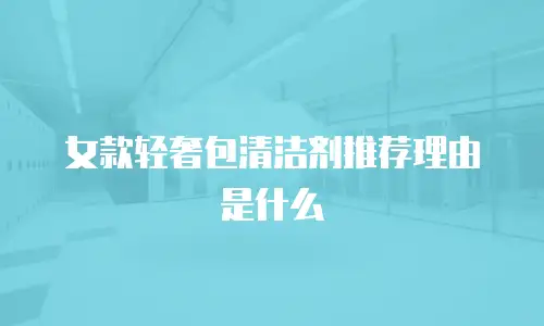 女款轻奢包清洁剂推荐理由是什么