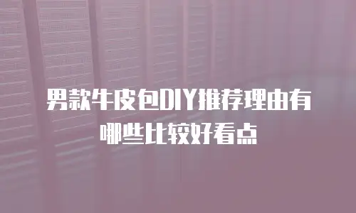 男款牛皮包DIY推荐理由有哪些比较好看点