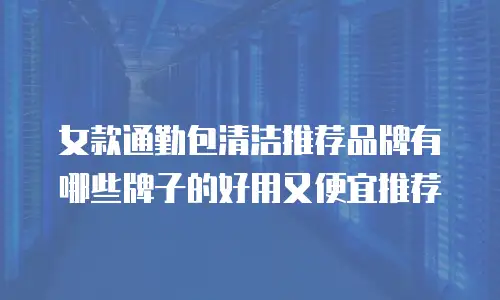 女款通勤包清洁推荐品牌有哪些牌子的好用又便宜推荐