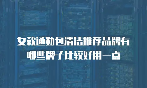 女款通勤包清洁推荐品牌有哪些牌子比较好用一点