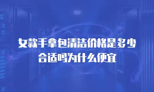 女款手拿包清洁价格是多少合适吗为什么便宜