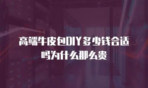 高端牛皮包DIY多少钱合适吗为什么那么贵