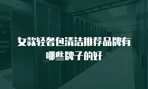 女款轻奢包清洁推荐品牌有哪些牌子的好