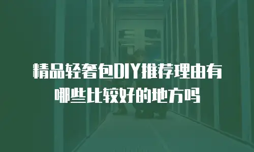 精品轻奢包DIY推荐理由有哪些比较好的地方吗