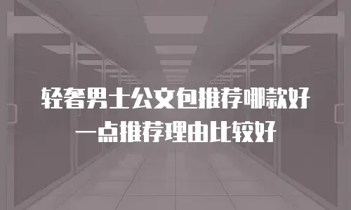 轻奢男士公文包推荐哪款好一点推荐理由比较好