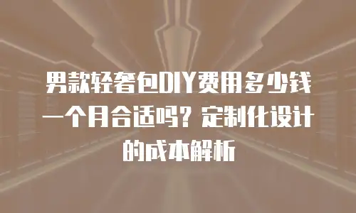 男款轻奢包DIY费用多少钱一个月合适吗？定制化设计的成本解析