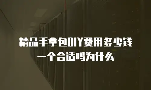精品手拿包DIY费用多少钱一个合适吗为什么