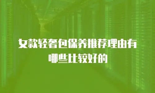 女款轻奢包保养推荐理由有哪些比较好的