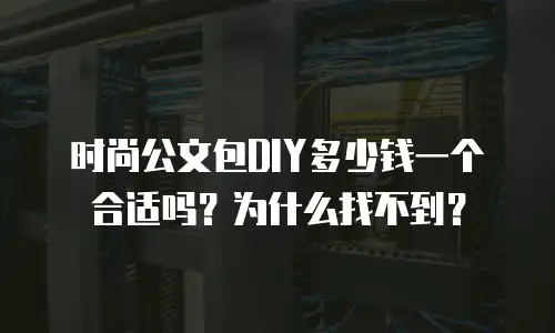 时尚公文包DIY多少钱一个合适吗？为什么找不到？