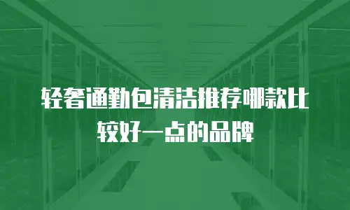 轻奢通勤包清洁推荐哪款比较好一点的品牌