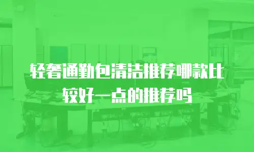 轻奢通勤包清洁推荐哪款比较好一点的推荐吗
