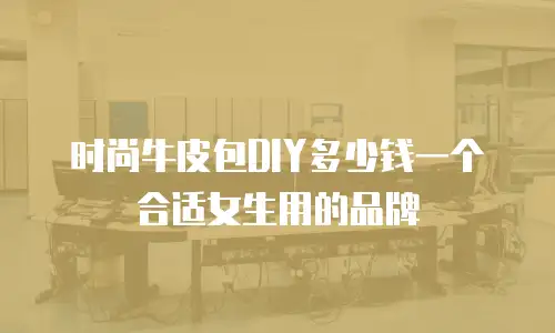 时尚牛皮包DIY多少钱一个合适女生用的品牌