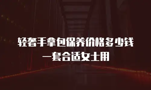 轻奢手拿包保养价格多少钱一套合适女士用