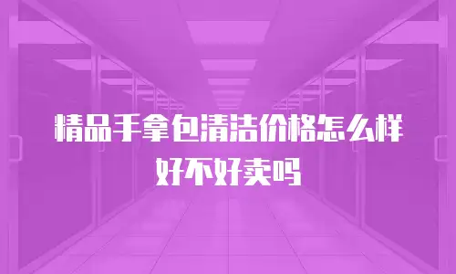 精品手拿包清洁价格怎么样好不好卖吗