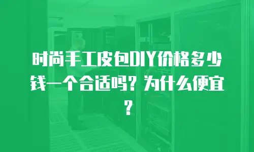 时尚手工皮包DIY价格多少钱一个合适吗？为什么便宜？