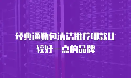 经典通勤包清洁推荐哪款比较好一点的品牌