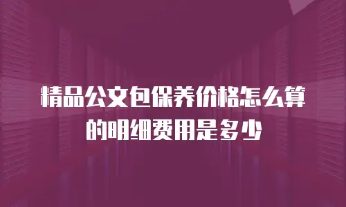 精品公文包保养价格怎么算的明细费用是多少