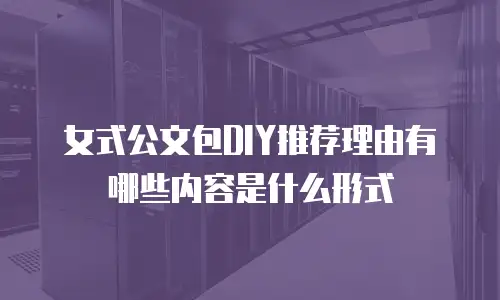 女式公文包DIY推荐理由有哪些内容是什么形式