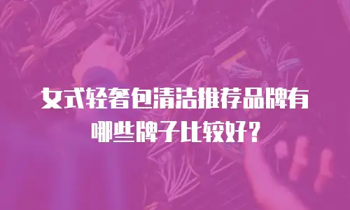 女式轻奢包清洁推荐品牌有哪些牌子比较好？